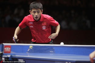 世乒賽男團決賽時間,世乒賽男團決賽時間是幾點(圖2)