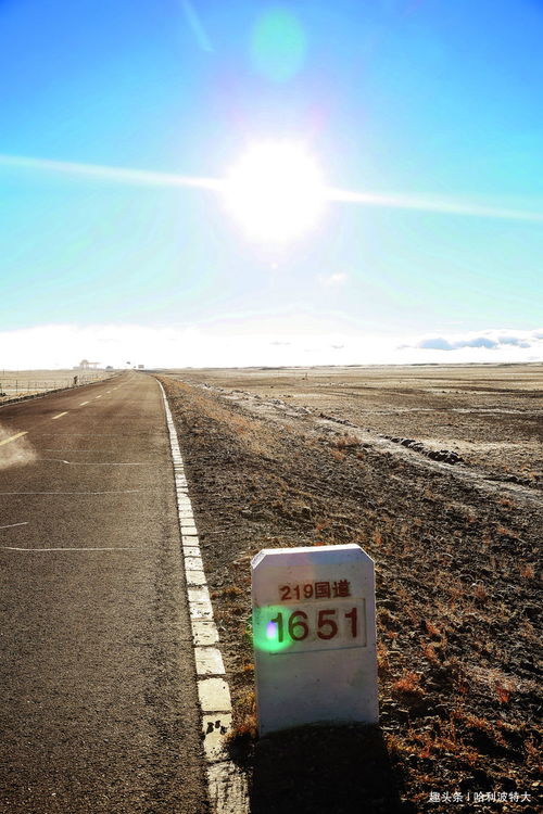 世界屋脊是哪里,世界屋脊指的是什么地方(圖2)