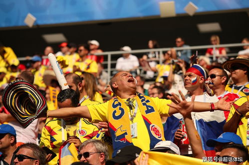 世界杯幾年舉辦一次,世界杯幾年舉辦一次(圖2)